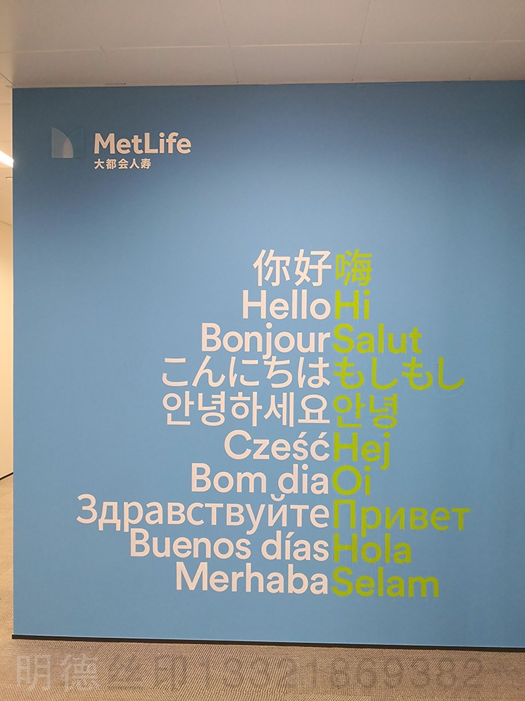 公司形象墻面文字印刷4